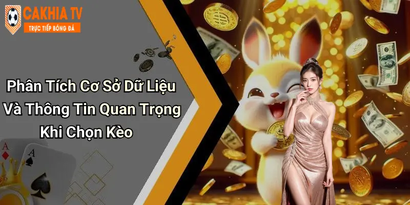Phân Tích Cơ Sở Dữ Liệu Và Thông Tin Quan Trọng Khi Chọn Kèo