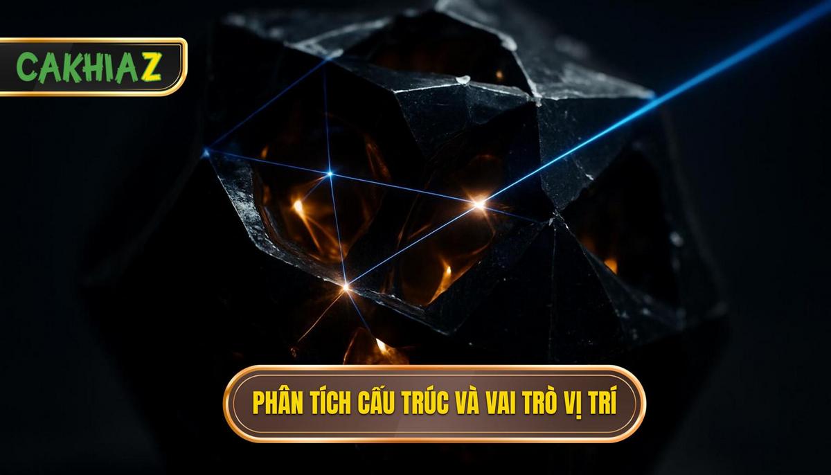Phân tích chi tiết cấu trúc và vai trò vị trí